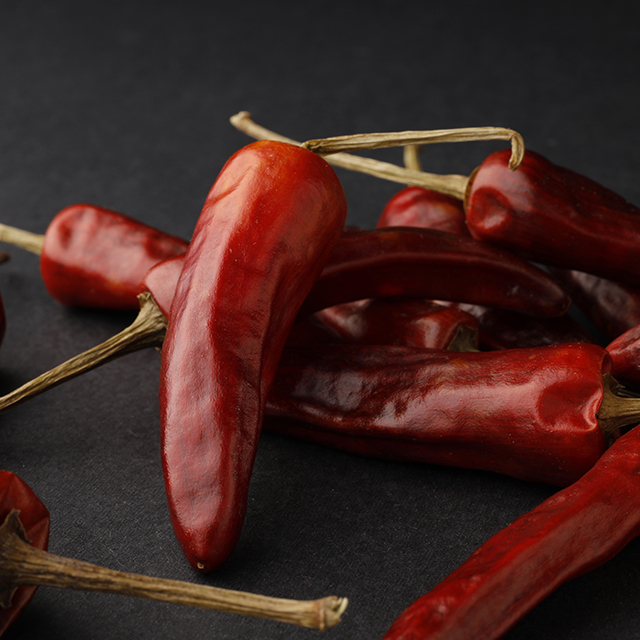 福建辣椒王 (5).jpg